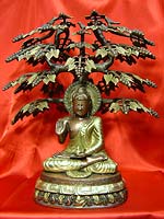 boeddha onder de boom